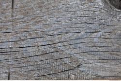 Photo Textures of Wood